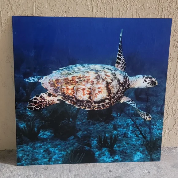 Aluminum Sea Turtle Ocean Wall Art 30x30